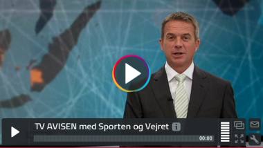 DR TVAvisen: Protest mod vindmøller samlede flere hundrede