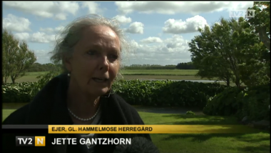 Video: protester stopper vindmøller