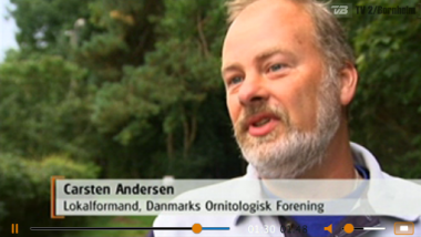 Video: Bornholm: Kritik af vindmølle på Tat